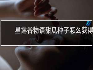 星露谷物语甜瓜种子怎么获得