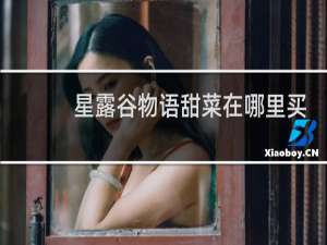 星露谷物语甜菜在哪里买