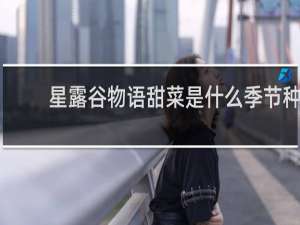 星露谷物语甜菜是什么季节种