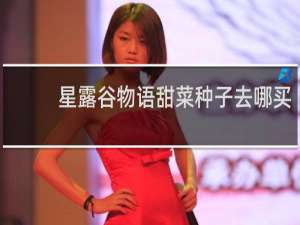 星露谷物语甜菜种子去哪买