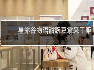 星露谷物语甜豌豆拿来干嘛