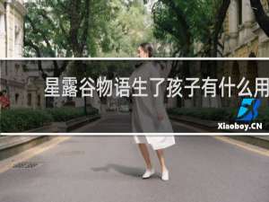 星露谷物语生了孩子有什么用