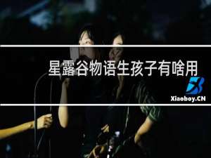 星露谷物语生孩子有啥用