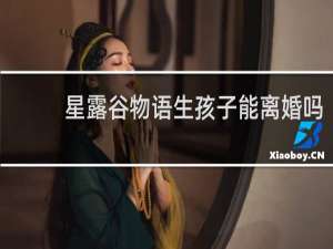 星露谷物语生孩子能离婚吗