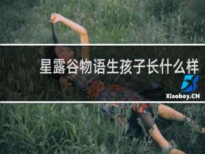 星露谷物语生孩子长什么样