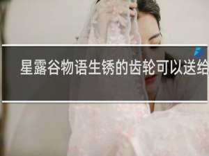 星露谷物语生锈的齿轮可以送给谁