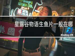 星露谷物语生鱼片一般在哪