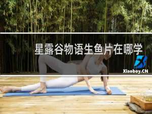 星露谷物语生鱼片在哪学