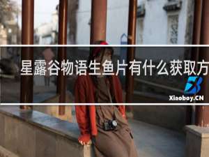 星露谷物语生鱼片有什么获取方法