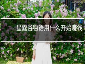 星露谷物语用什么开始赚钱