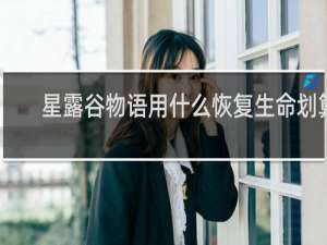 星露谷物语用什么恢复生命划算
