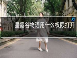 星露谷物语用什么权限打开