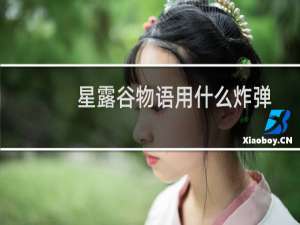 星露谷物语用什么炸弹