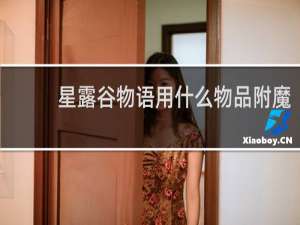 星露谷物语用什么物品附魔