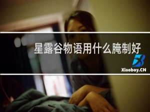 星露谷物语用什么腌制好