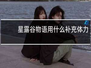 星露谷物语用什么补充体力