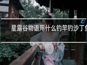星露谷物语用什么钓竿钓沙丁鱼