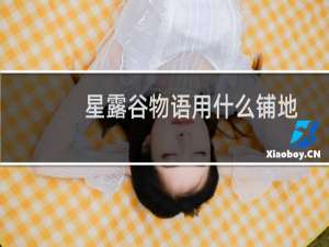 星露谷物语用什么铺地