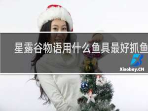 星露谷物语用什么鱼具最好抓鱼王