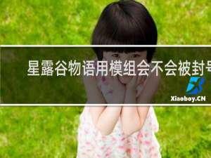 星露谷物语用模组会不会被封号