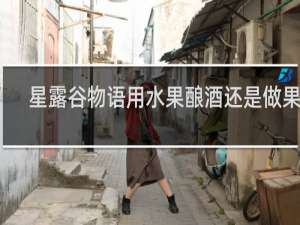 星露谷物语用水果酿酒还是做果酱