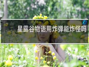 星露谷物语用炸弹能炸怪吗