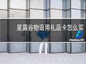 星露谷物语用礼品卡怎么买