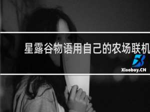 星露谷物语用自己的农场联机