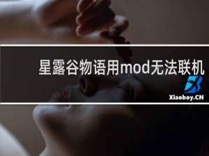 星露谷物语用mod无法联机