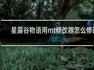 星露谷物语用mt修改器怎么修改