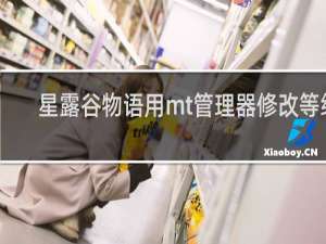 星露谷物语用mt管理器修改等级