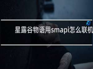 星露谷物语用smapi怎么联机