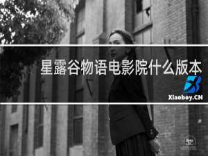 星露谷物语电影院什么版本