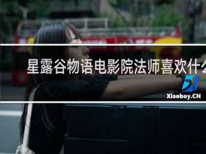 星露谷物语电影院法师喜欢什么