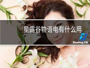 星露谷物语电有什么用