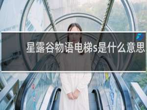 星露谷物语电梯s是什么意思