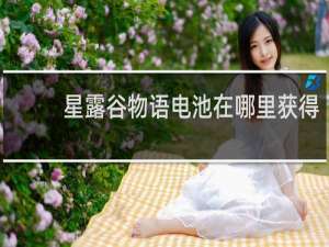 星露谷物语电池在哪里获得