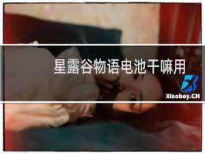 星露谷物语电池干嘛用