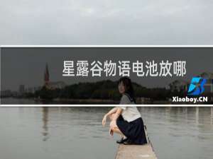 星露谷物语电池放哪