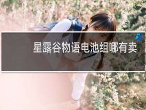 星露谷物语电池组哪有卖