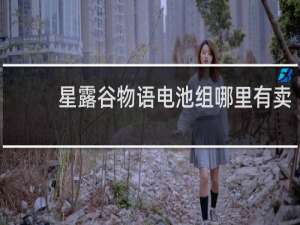 星露谷物语电池组哪里有卖
