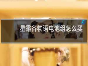 星露谷物语电池组怎么买
