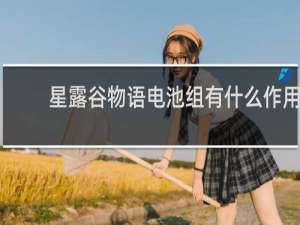 星露谷物语电池组有什么作用
