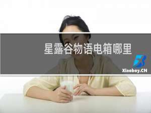 星露谷物语电箱哪里