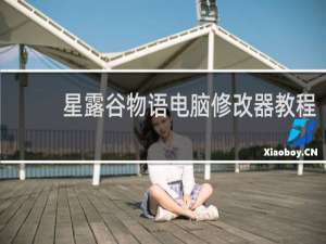 星露谷物语电脑修改器教程