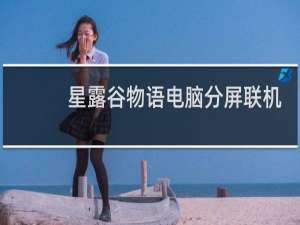 星露谷物语电脑分屏联机