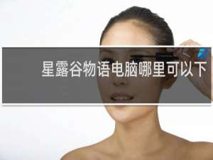 星露谷物语电脑哪里可以下