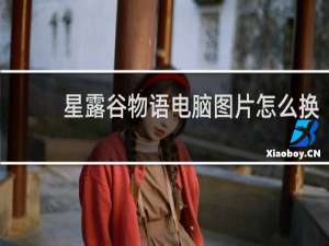 星露谷物语电脑图片怎么换