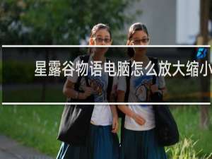 星露谷物语电脑怎么放大缩小