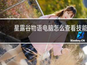 星露谷物语电脑怎么查看技能